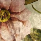 Mintás bársony jersey pink / ezüst / vízkék / sárga / zöld virág 150 cm