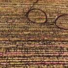 Alkalmi jacquard szövet lurexes 146 - 148 cm széles