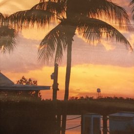 Mintás szatén pálmafa, tengerpart minta 146 - 148 cm